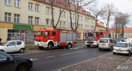 Fotka nr 2 z 6