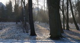 zdjęcie nr 11