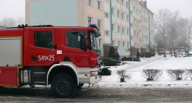 Fotka nr 2 z 3