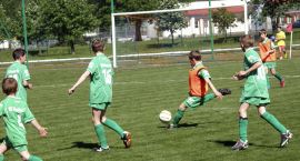 zdjęcie nr 12