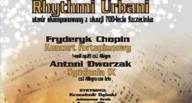 zdjęcie nr 10