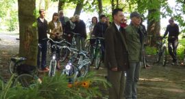 zdjęcie nr 8