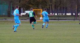 zdjęcie nr 8