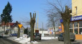 zdjęcie nr 8