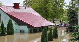 zdjęcie nr 9