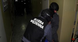 Fotka nr 4 z 36