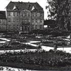 zdjęcie nr 12