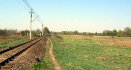 zdjęcie nr 7