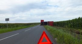 zdjęcie nr 7