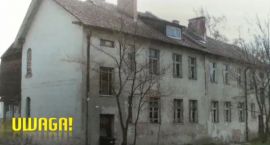 Fotka nr 2 z 4