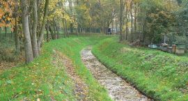 zdjęcie nr 7