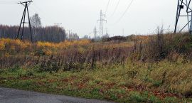 Fotka nr 1 z 10