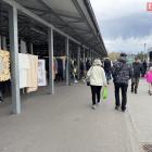 zdjęcie nr 15