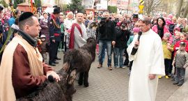 zdjęcie nr 7