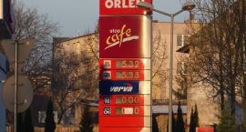 zdjęcie nr 7