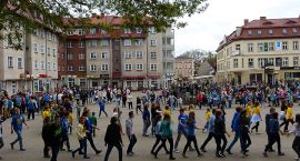 zdjęcie nr 13
