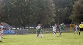 zdjęcie nr 11