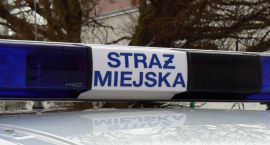 Fotka nr 2 z 11
