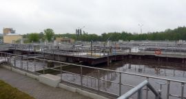 Fotka nr 4 z 26