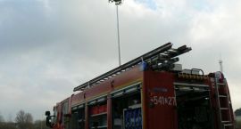 zdjęcie nr 8