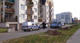 Fotka nr 2 z 5