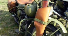 Fotka nr 3 z 11