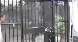 zdjęcie nr 42
