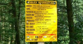zdjęcie nr 21