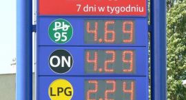 zdjęcie nr 8