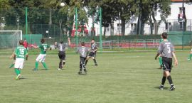 zdjęcie nr 13