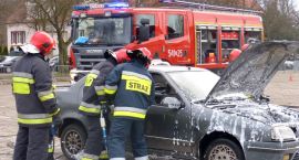 zdjęcie nr 17