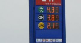 zdjęcie nr 8