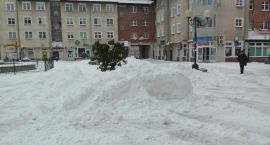 zdjęcie nr 8