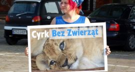 zdjęcie nr 14