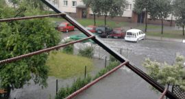 zdjęcie nr 23