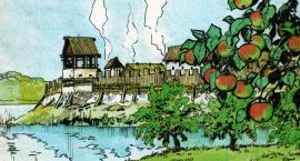 zdjęcie nr 7