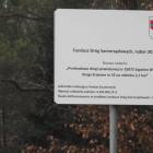 zdjęcie nr 24