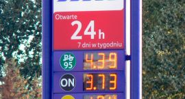 zdjęcie nr 8