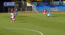 Fotka nr 2 z 12