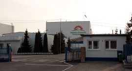 Fotka nr 1 z 5