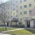 Fotka nr 1 z 3