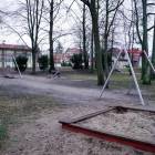 Fotka nr 3 z 6
