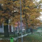 zdjęcie nr 16