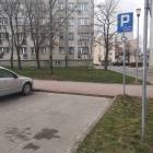 Fotka nr 1 z 2