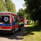 zdjęcie nr 8