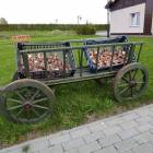 Fotka nr 2 z 8