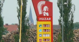 zdjęcie nr 8