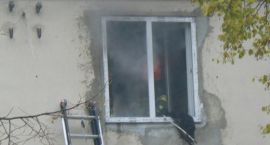 zdjęcie nr 8
