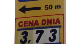 zdjęcie nr 9