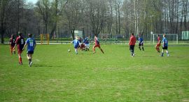 zdjęcie nr 8